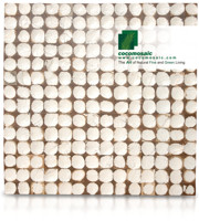 White Patina Bliss - Cocomosaic Coconut Shell Tiles